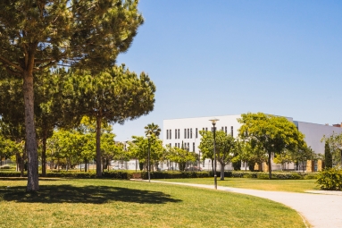 Colleges e Universidades