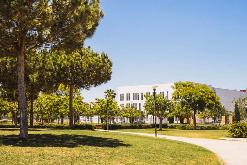 Colleges e Universidades